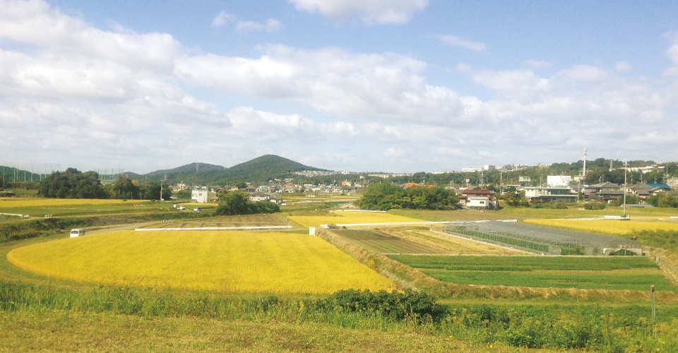 陽だまり農園の写真