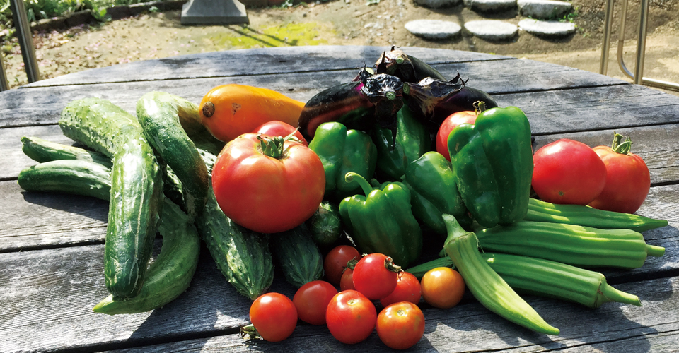 陽だまり農園の野菜